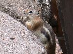 2007-0613-1336-47.jpg